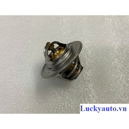 Van hằng nhiệt xe Volkswagen New Beetle_ 050121113C 